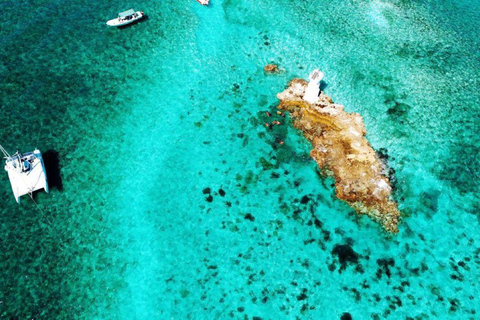 Cancun: Premium Catamaran with Transportation & Dock fee