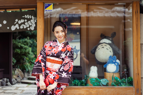 Kyoto: Gion Kiyomizudera Kimono Yukata Hairstyle& Photoshoot Kyoto Photo Session ONLY (1-Hour)