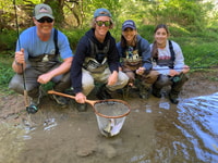 Valle de Shenandoah, viaje de pesca con mosca día completo con almuerzo - Housity