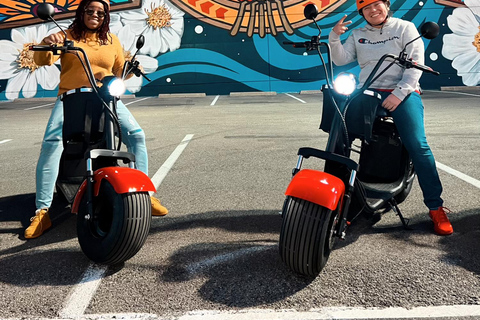 Tour dei murales di Dallas con scooter a ruote grasse