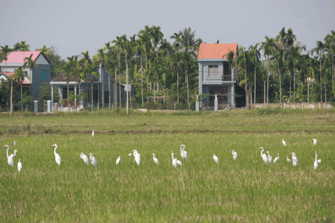 Cam Thanh-fietstocht vanuit Hoi An