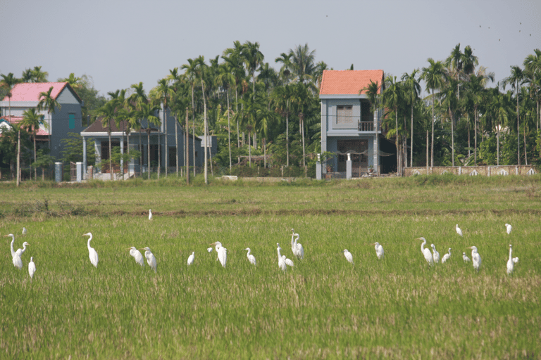 Visite à vélo de Cam Thanh au départ de Hoi An