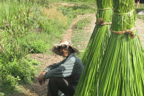 Visite à vélo de Cam Thanh au départ de Hoi An