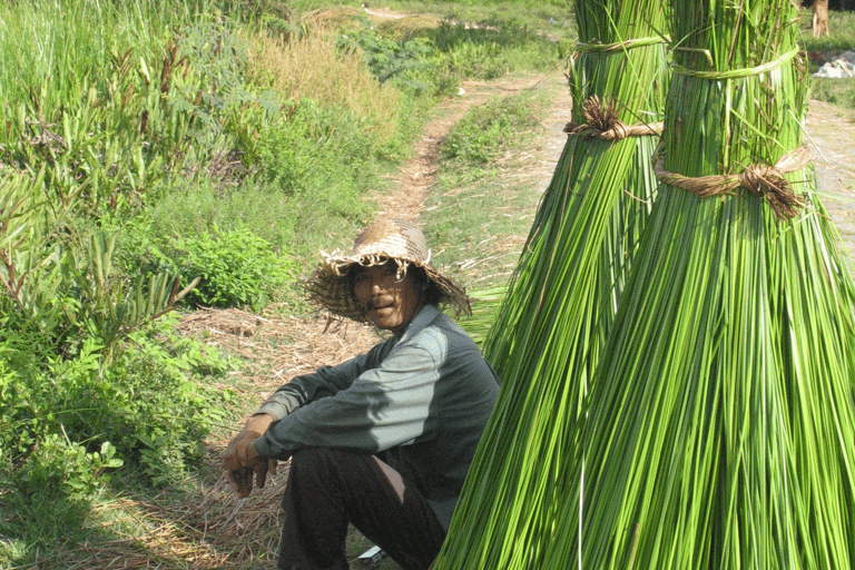 Cam Thanh Bike Tour from Hoi An