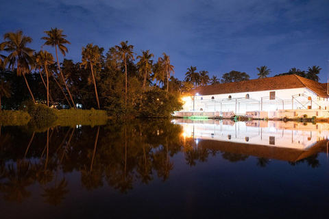 Kochi: Tour turístico privado de día completo en coche