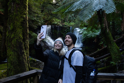 Wycieczka brzegiem Hobart: Park Narodowy Mt Field i dzika przyroda