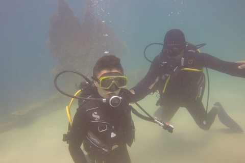 Hammamet: Guided Diving Experience with Hotel Transfer