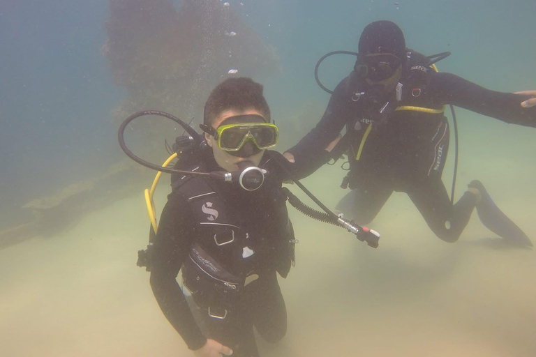Hammamet: Guided Diving Experience with Hotel Transfer