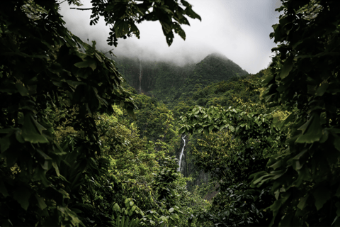 Full day tour: the best of the island w/photos drone sunset Full day tour: the best of the island w/photos drone sunset