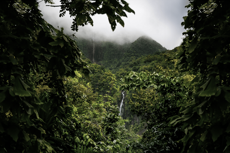 Full day tour: the best of the island w/photos drone sunset Full day tour: the best of the island w/photos drone sunset