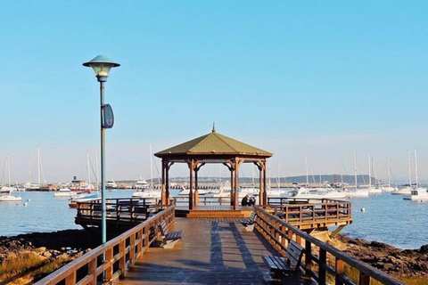 Punta del Este : visite d&#039;une jounée consacrée à la plage et à la culturePunta del Este : visite privée d&#039;une jounée sur la plage et à la découverte de la culture