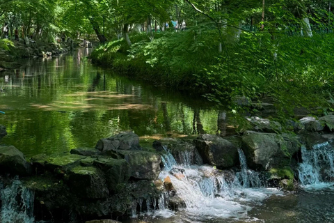 Hangzhou: Hike from Longjing Tea Village to Nine Creeks Group Tour