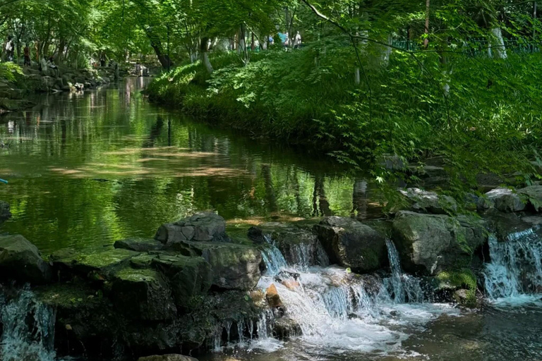 Hangzhou: Hike from Longjing Tea Village to Nine Creeks Group Tour
