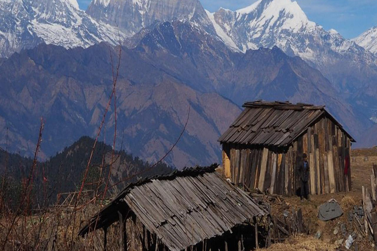 Hidden Himalayas: 8-Day Mohare Danda Trek via Nagi Village