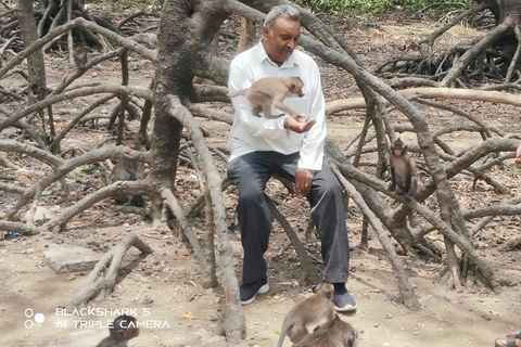 Visite d&#039;une jounée de la forêt de mangroves de Can Gio et de l&#039;île aux singes