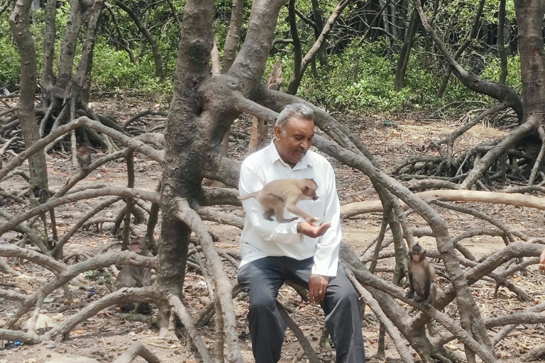 Can Gio Mangrove Forest i Monkey Island - całodniowa wycieczka