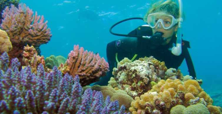 Port Douglas Silversonic Great Barrier Reef Dive & Snorkel
