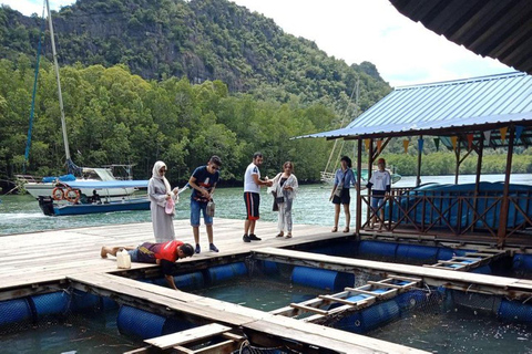 Langkawi: 1 Hour Private Mangrove Kilim Geoforest Boat Tour