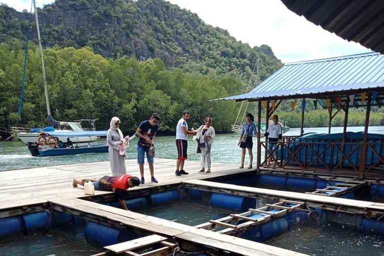 Langkawi: 1 Hour Private Mangrove Kilim Geoforest Boat Tour