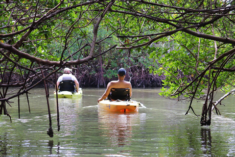 From Naples, FL: Marco Island Mangroves Kayak or Paddle Tour Easy Ride Pedal Kayak Tour