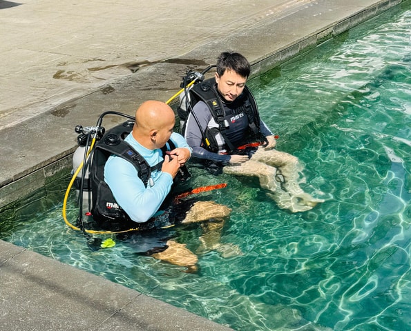 Get Your PADI Open Water Diver Course in Nha Trang