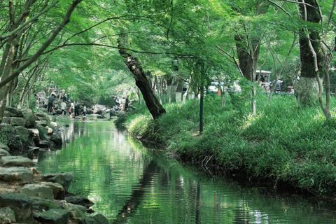 Wuxi: Hangzhou Nine Creeks & Longjing Tea Village Day Trip
