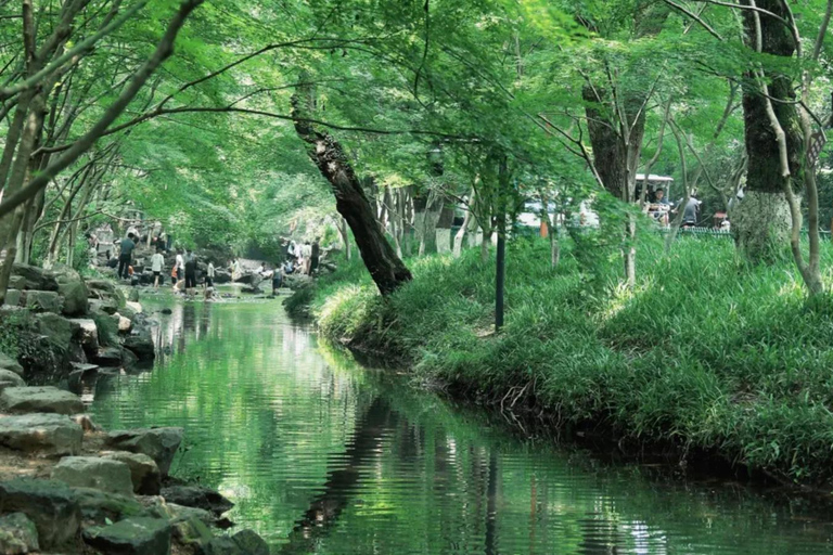 Wuxi: Hangzhou Nine Creeks & Longjing Tea Village Day Trip