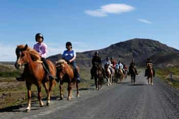 hafnarfjörður family adventure horse riding