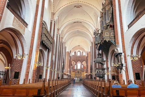 Tour of Roskilde, the Viking City in Spanish