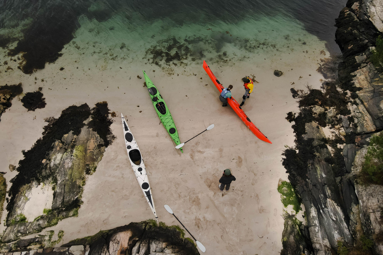 Bergen: Sea Kayaking Tour with Lunch and Transfer Bergen: Sea Kayaking Group Tour with Lunch and Transfer