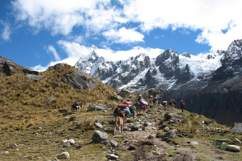 Huaraz: Excursión guiada de 4 días a Santa Cruz Trek