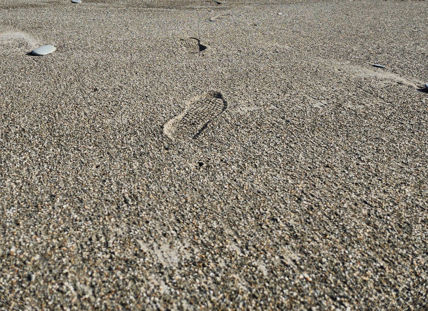 Fra Greymouth: Tur til Punakaiki Blowholes og Pancake Rocks