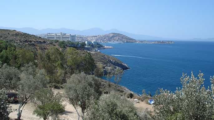 from kusadasi daily boat trip