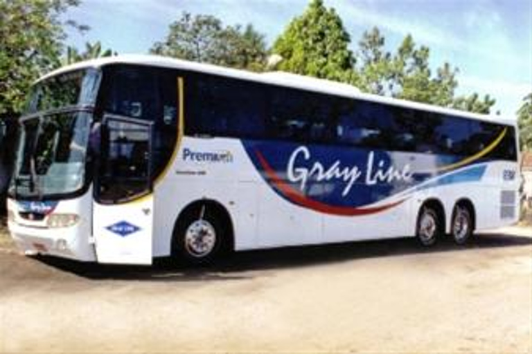 Manaus Airport: 1-Hour Shared Transfer to Manaus Hotels Round-Trip Transfer