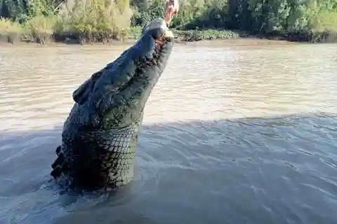 La meilleure visite de Litchfield et la meilleure croisière pour les crocodiles VIP