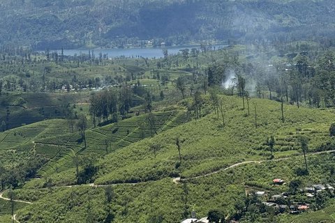 Pekoe Trail 6-9: Guided 6 Day Trail with Hotels & Transfers