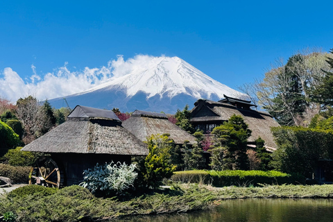 Tokyo: Private Daytrip to Mount Fuji - Fully Customizable Mt Fuji Private Luxury Van Tour (Customizable Experience)