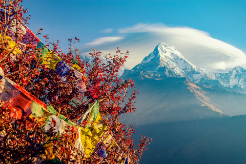 Conquista la Joya de la Corona: Excursión al Campo Base del Everest (14 días)