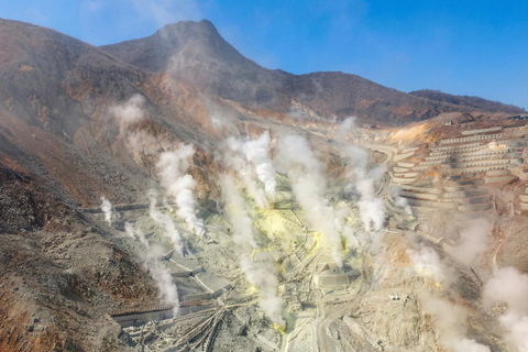 Mt. Fuji & Hakone Tour: Arakurayama, OshinoHakkai, Owakudani Tokyo Station | 7:30 AM Departure with English Guide