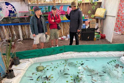Xochimilco: Sanctuary of the Ajolote Axolotl