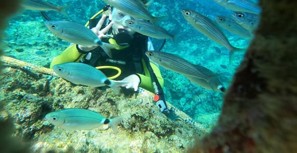 Kemer: Beginner-Friendly Eco Diving Experience with Lunch