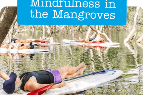 Kingscliff: Paddleboard and Mindfullness in the Mangroves