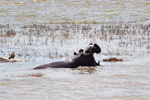 From Nairobi: 2-Day Lake Naivasha and Hell's Gate Tour
