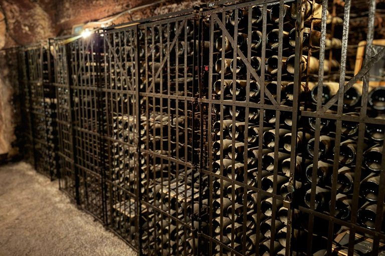 Châteauneuf-du-Pape: Full-day wine tour with sommelier