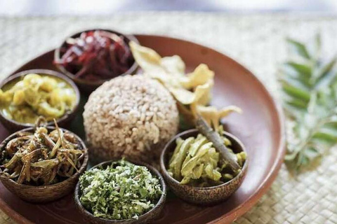 Esperienza di ritiro benessere ayurvedico all inclusive di 5 notti