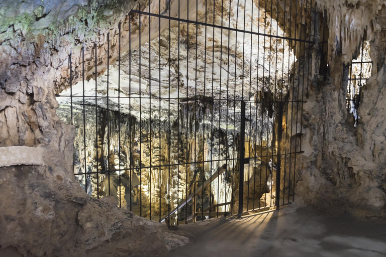 Arta Caves and Market Excursion