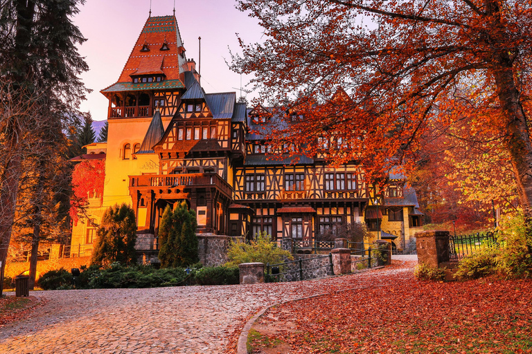 Bucarest : Excursion d&#039;une journée à Peles, au château de Dracula et à Brasov