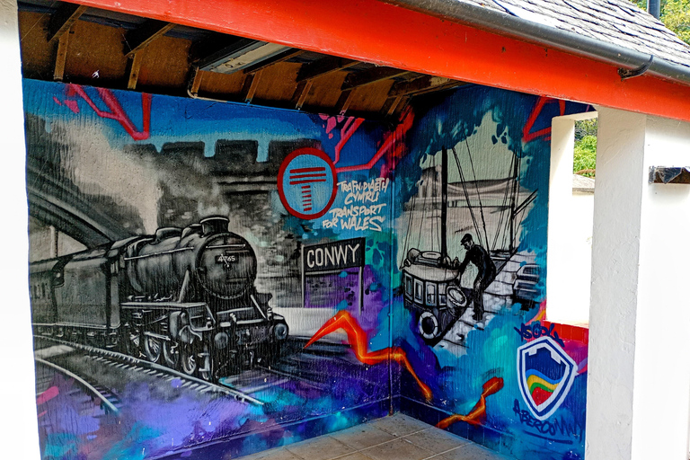 Conwy: Conwy Town Walking Tour with Historic Sights