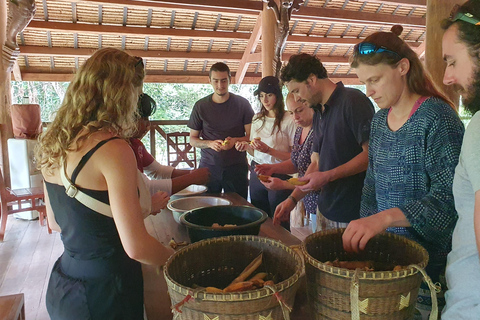 Siem Reap: Tour en grupo reducido por el Bosque de Elefantes de Kulen