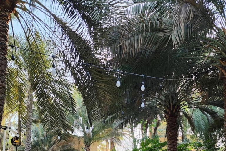 Vanuit Masqat: tour door Rustaq met lunch en warmwaterbronnenVanuit Masqat: Rustaq-tour met lunch en warmwaterbronnen